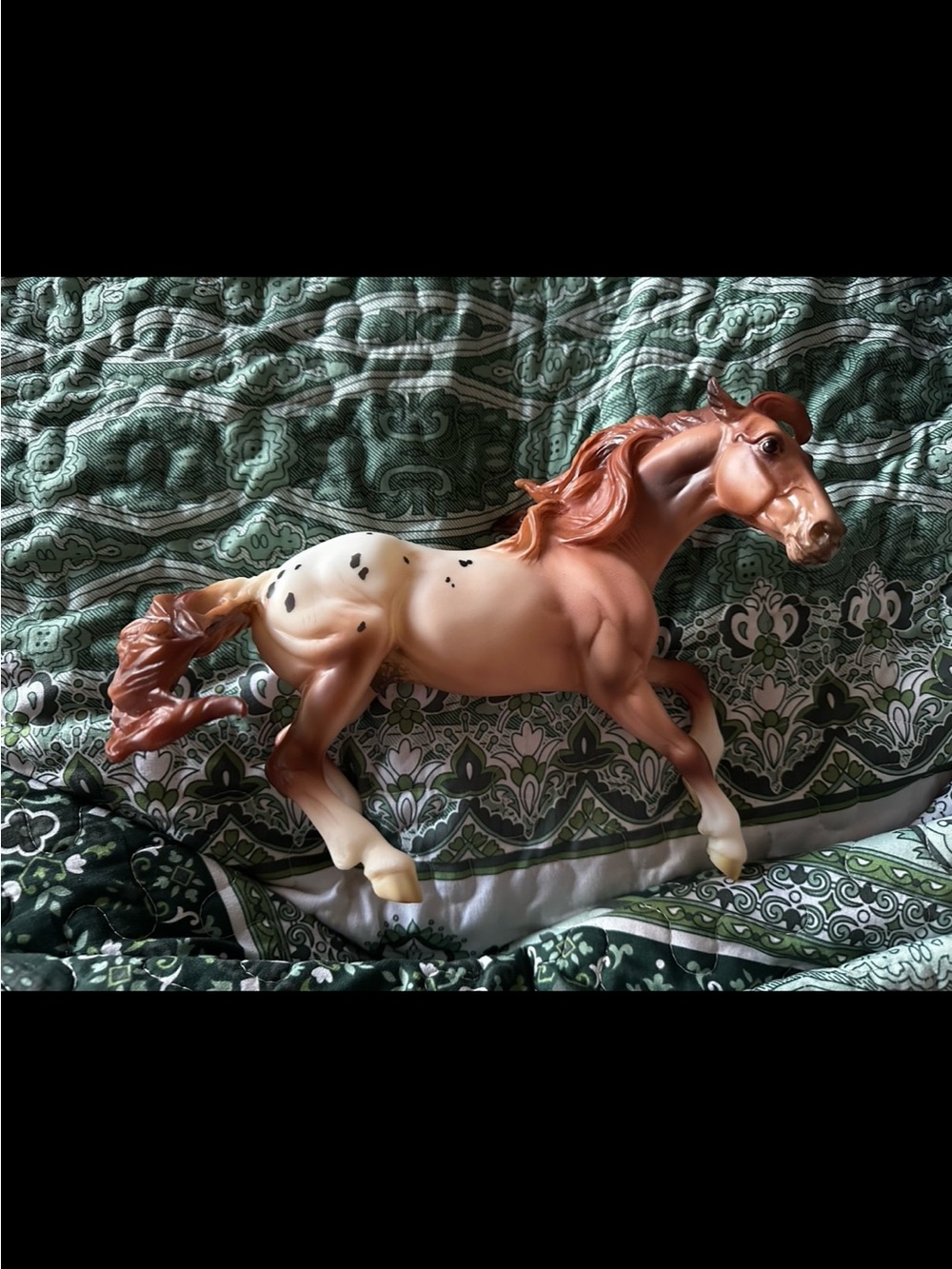 Breyerfest 2014 Surprise “Pop the Cork” Matte Varnish Roan Appaloosa Nokota